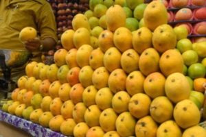 mango-market